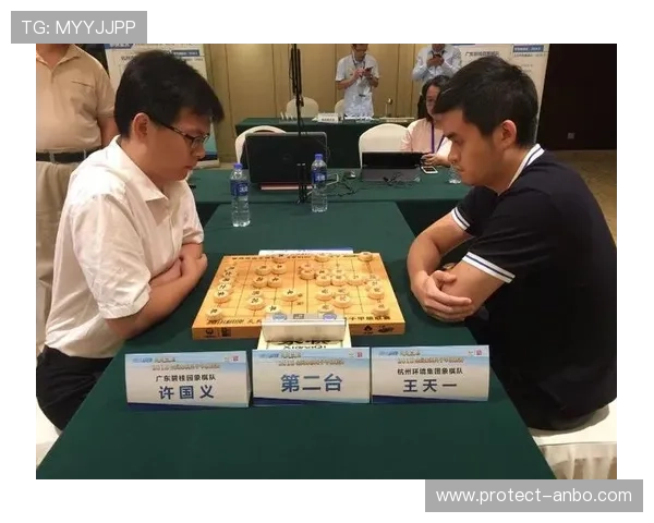 粤超最新战报解析：各队比分对比与赛季走势全面剖析